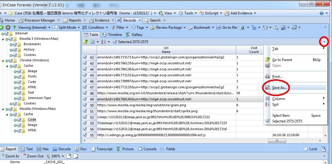 EnCase テーブルペインのExport(TAB区切りtxt).jpg